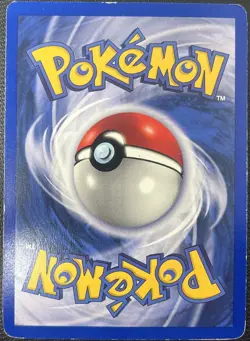 Machamp 8/102 Base Set 1st Edition Shadowless Holo Rare Pokemon Card LP - Image 3