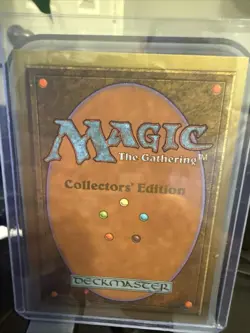 1993 Magic the Gathering Tundra Collectors Edition Dual Land Card - Image 2