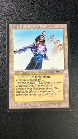 MTG Island of Wak-Wak Arabian Nights English Lightly Played - Image 1
