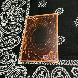 YuGiOh! - Dragoness the Wicked Knight - LOB-086 - Unlimited - Rare - Lp - Image 2