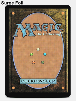 Evolving Wilds (Surge Foil) 0065 - TMC Teenage Mutant Ninja Turtles TMNT MTG NM - Image 2