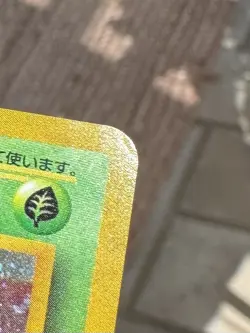 Pokemon TCG Vintage Japanese Venusaur CD Promo Holo Card 003 NM/LP - Image 3