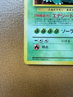 Pokemon TCG Vintage Japanese Venusaur CD Promo Holo Card 003 NM/LP - Image 5