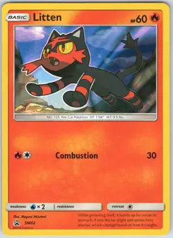 Litten SM02 Promo SM Black Star Promos Pokemon NM - Image 1