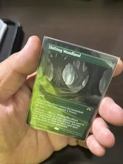 Shifting Woodland (Borderless) Modern Horizons 3 Regular - Image 3