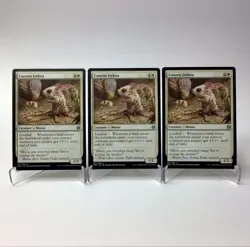 (3) MTG Canyon Jerboa Zendikar Rising Magic: The Gathering MP - Image 1