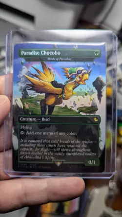 1x Paradise Chocobo Borderless Foil Promo NM Final Fantasy MTG x1 - Image 1