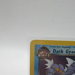 Pokemon Dark Gyarados 8/82 Wotc Promo Prerelease Holo 70 HP Ice Beam - Image 3