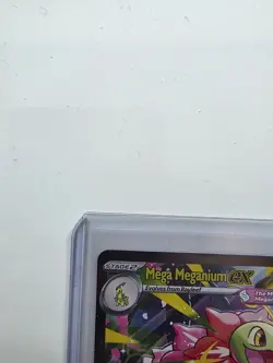 Pokemon Mega Meganium EX SIR 272/217 Ascended Heroes English, Mint Condition! - Image 4