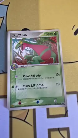 Grovyle Pokemon Promo Card McDonald's 081/PCG-P Vintage Rare Japan 2005 F/S - Image 1