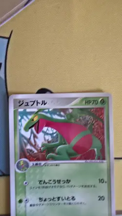 Grovyle Pokemon Promo Card McDonald's 081/PCG-P Vintage Rare Japan 2005 F/S - Image 3