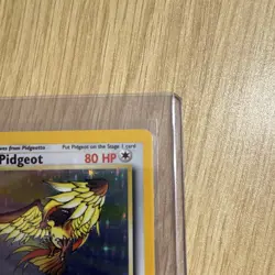 Pokemon Pidgeot 08/64 Jungle 1st Edition Holo Rare 1999 Stage 2 80 HP TCG - Image 5