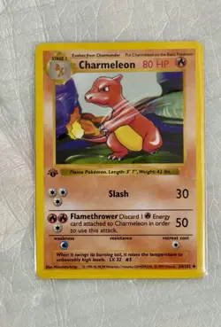 1999 Pokemon Shadowless 1st Edition Base Set Charmeleon #24 - Image 1