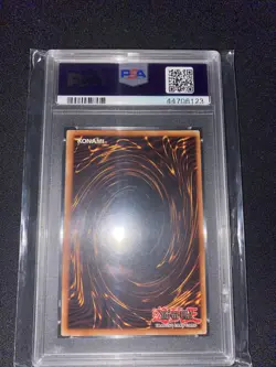 Red Eyes Black Dragon SDJ 1st edition holo 2003 yugioh psa5 - Image 2