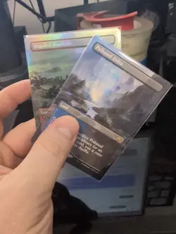 Polluted Non-foil And Wooded Foil- MTG Fetch Lands - Image 1