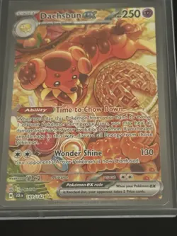 Pokemon Dachsbun ex 169/142 Special Illustration Rare Stellar Crown NM/M - Image 1