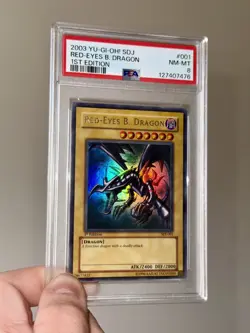PSA 8 Yu-Gi-Oh! Red Eyes Black Dragon SDJ-001 1st Edition 2003 - New Cert - Image 3