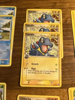Chikorita and Totodile Pokemon 13 Card Lot (ex Dragon Frontiers & E Card Series) - Image 3