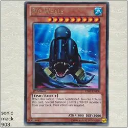 Big Whale - LTGY-EN008 - Rare 1st Edition Yugioh - Image 1
