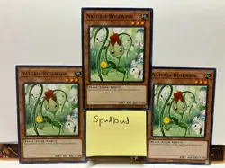x3 Naturia Rosewhip Common x3 HAC1-EN099 (Light Play 1st Ed) - Image 1