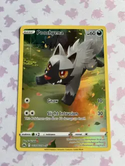 Pokemon TCG Poochyena Crown Zenith: Galarian Gallery GG33/GG70 Holo Holo Rare - Image 1