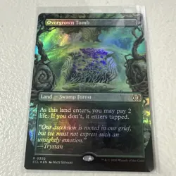 Overgrown Tomb Borderless Foil 0350 Lorwyn Eclipsed MTG NM - Image 2