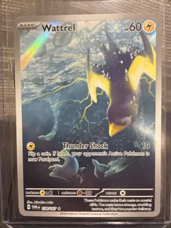 Wattrel 178/167 Illustration Rare Twilight Masquerade Pokemon Card NM - Image 1