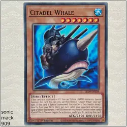 Citadel Whale - LED9-EN026 - Common 1st Edition Yugioh - Image 1