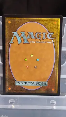 Ajani, Outland Chaperone (Borderless) Lorwyn Eclipsed Foil - Image 2