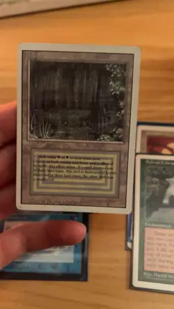 Magic the Gathering Revised Edition Dual Land Bayou - Image 1