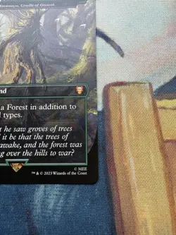 mtg Fangorn Forest (Yavimaya, Cradle of Growth) (0377) Borderless NonFoil NM-M - Image 5