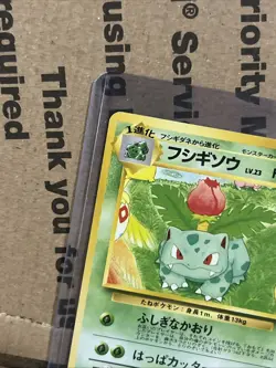 -Ivysaur No. 002 Southern Islands Promo Japanese pokemon card - Image 2