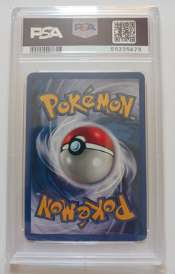 PSA 8 Nidoqueen Pokemon Card Holo WOTC 7/64 Jungle Set Rare Vintage 1999 NM-MT - Image 2