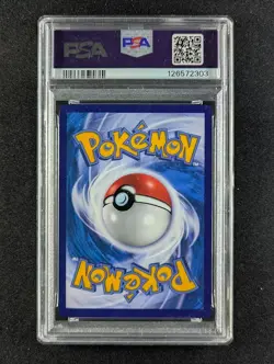 2024 Pokemon FLAREON V #137/132 9 Colors Gather: Peng Super Rare Chinese PSA 10 - Image 2
