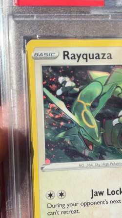 2024 POKEMON SWSH BLACK STAR PROMO #029 RAYQUAZA-HOLO PSA 10 GEM MINT SWIRL 🌀 - Image 2