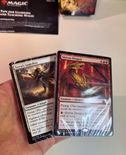 Open Box- Magic the Gathering White Mage Starter Deck 2019, 2 Sealed Decks, READ - Image 4