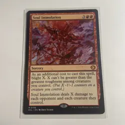 Soul Immolation - M156 - MTG - Lorwyn Eclipsed (ECL) - Image 1