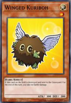Yugioh! Winged Kuriboh Maze of the Muertos PREORDER - Image 1