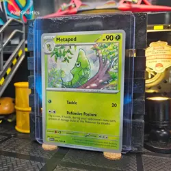 Metapod 151 Pokemon TCG 011/165 Scarlet & Violet Common - Image 2