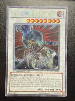 Yu-Gi-Oh! Black-Winged Dragon TCG 2010 Collector's Tin CT07-EN002 Promo - Image 3