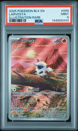 2025 POKEMON BLK EN-BLACK BOLT ILLUSTRATION RARE #099 LARVESTA PSA 9 - Image 1
