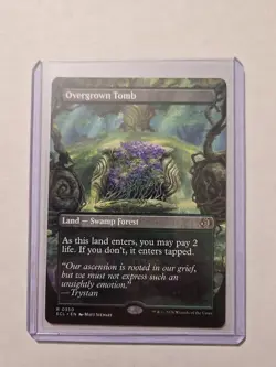 Overgrown Tomb (Borderless) - Lorwyn Eclipsed - NM - Rare - Land - Image 1