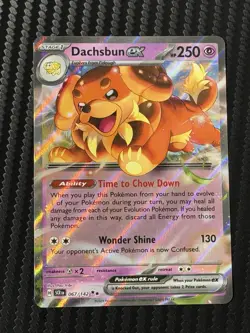 Dachsbun ex 067/142 Stellar Crown Double Rare Pokemon Card NEAR MINT NM - Image 1