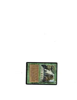 English Legends (LG) Sylvan Library - MTG - NR! - Image 1