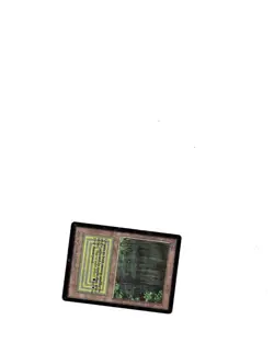 Beta (BE) Bayou (Black / Green Dual Land) - MTG - NR! - Image 1