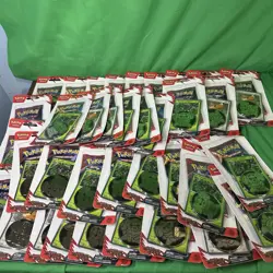 Pokemon TCG Destined Rivals Checklane Blister Pack Zarude Eevee Promo Lot Of 36! - Image 1