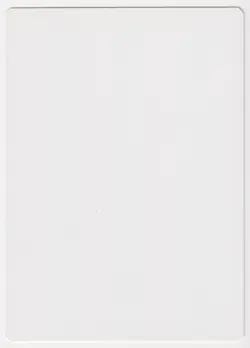 Signed Frog Tongue Proof NM Tempest Artist Phil Foglio 1997 WOTC MTG Magic AP! - Image 2