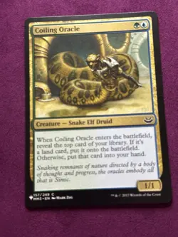 1x Coiling Oracle - NM English MTG - Modern Masters 2017 - Image 2