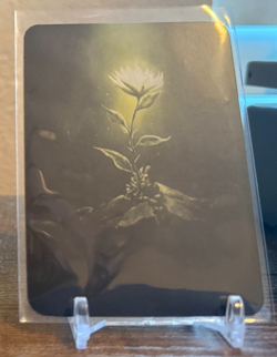 Sorcery Contested Realms - Gothic - Invigorate Foil NM - Image 2