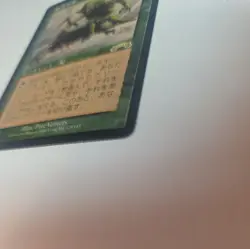 Survival of the Fittest｜Exodus MTG Magic the Gathering Green Japanese lp - Image 3